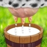 Картинка Milk the Cow